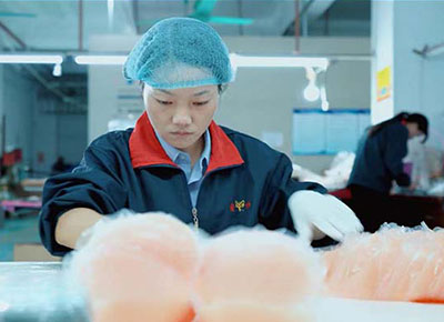 Final Quality Assurance (QA)
