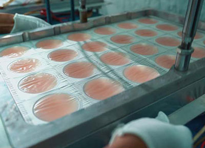 High-Temperature Molding